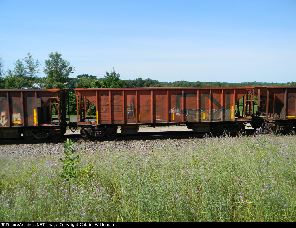 CN 90368 is new to RRPA!